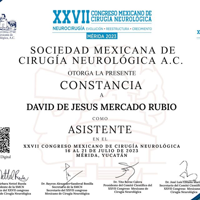 Ampliar imagen: certificate 3