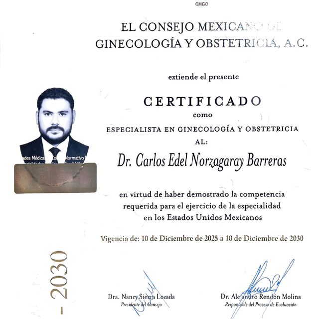 Ampliar imagen: certificate 2