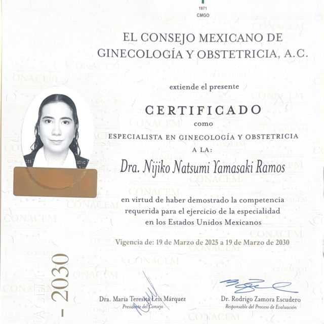 Ampliar imagen: certificate 1