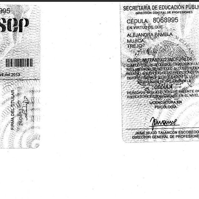 Ampliar imagen: certificate 3
