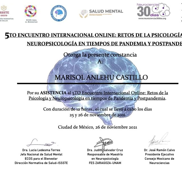 Ampliar imagen: certificate 2