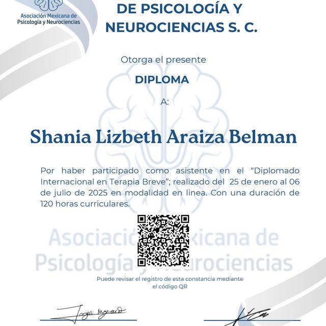 Ampliar imagen: certificate 4