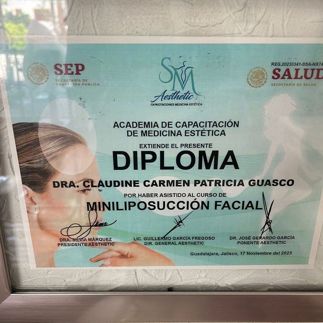 Ampliar imagen: certificate 26