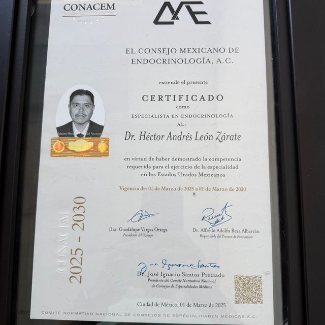 Ampliar imagen: certificate 1