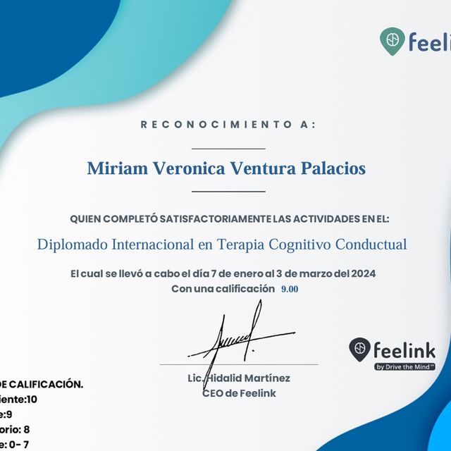 Ampliar imagen: certificate 10