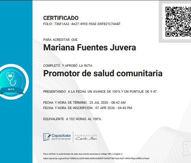 Ampliar imagen: certificate 2