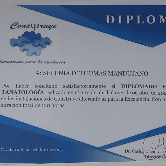 Ampliar imagen: certificate 3