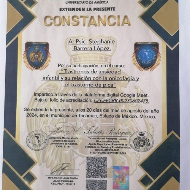 Ampliar imagen: certificate 7