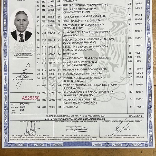 Ampliar imagen: certificate 2