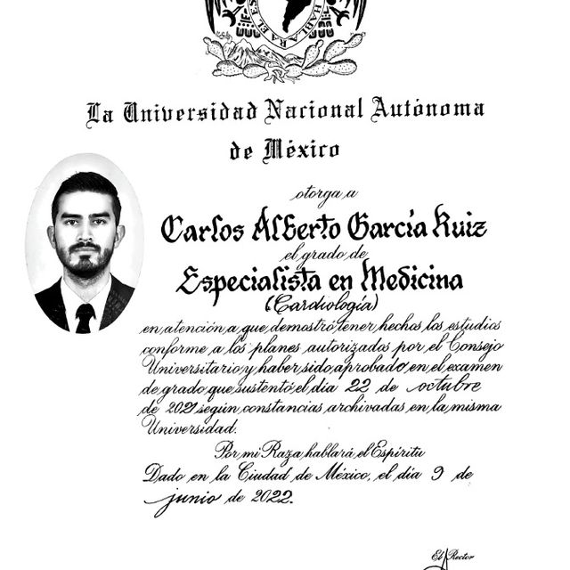 Ampliar imagen: certificate 3