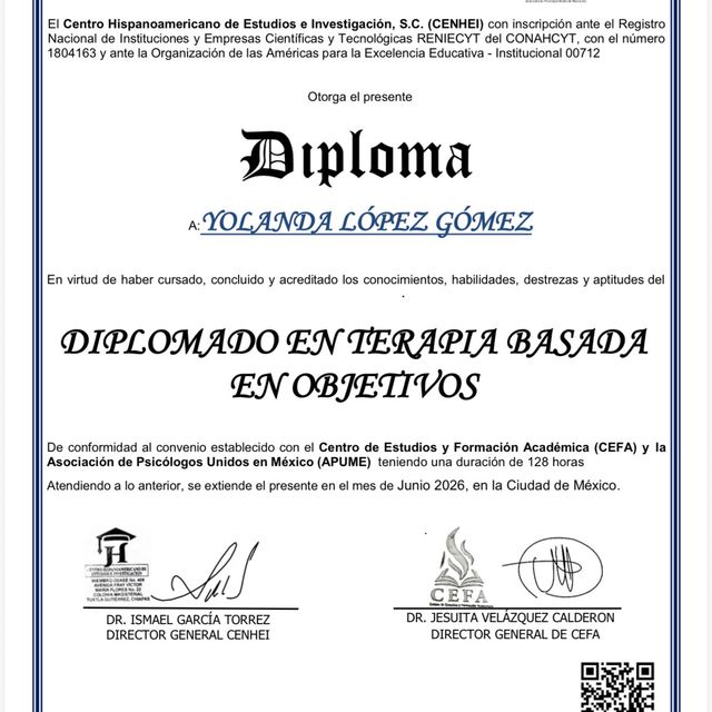 Ampliar imagen: certificate 7