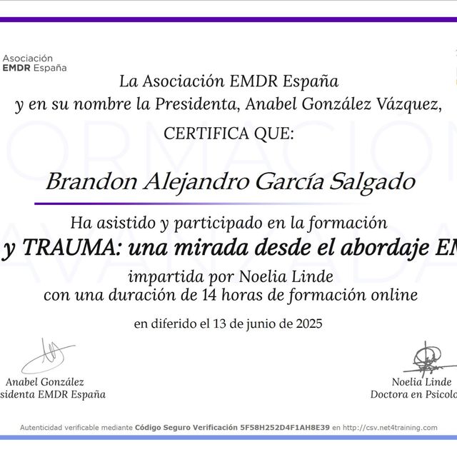 Ampliar imagen: certificate 9