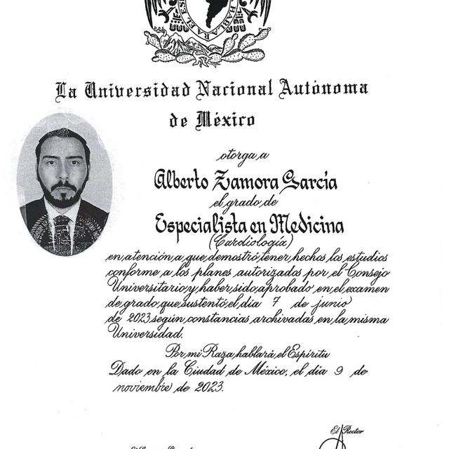 Ampliar imagen: certificate 2