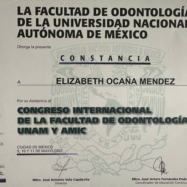 Ampliar imagen: certificate 11