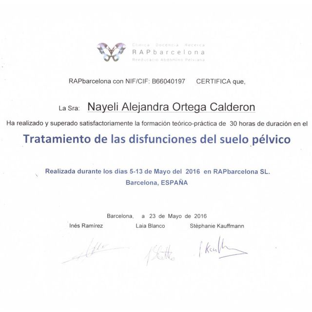 Ampliar imagen: certificate 5