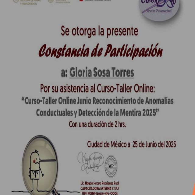 Ampliar imagen: certificate 11