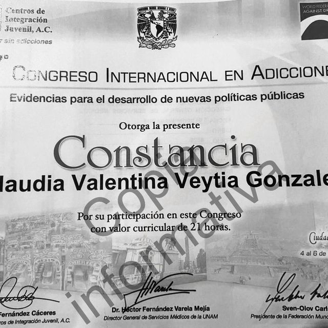 Ampliar imagen: certificate 1