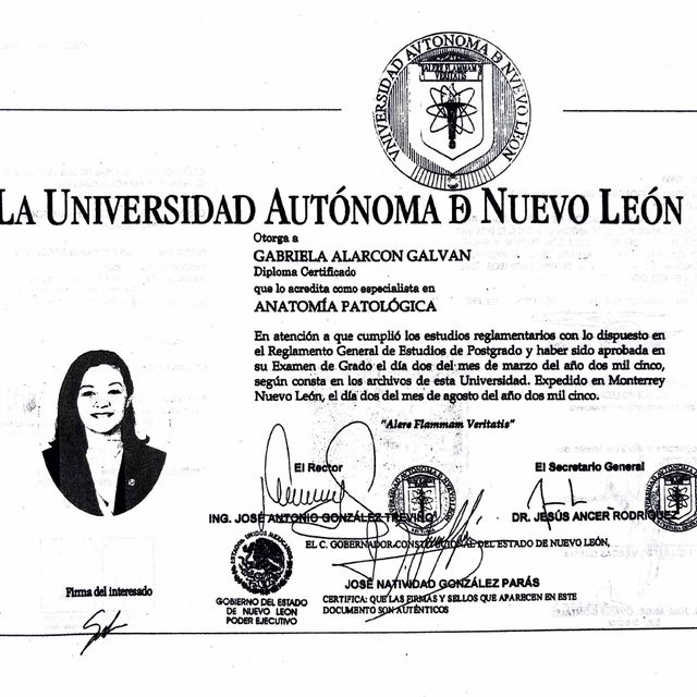 Ampliar imagen: certificate 2