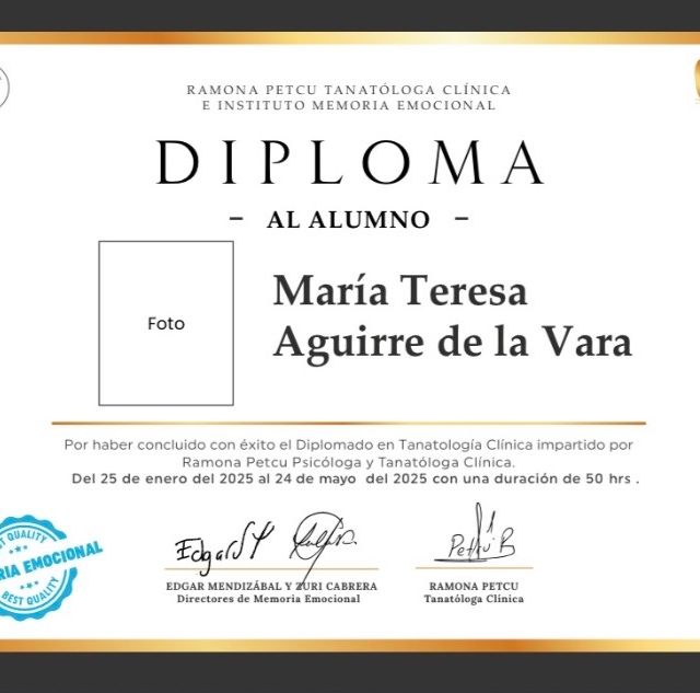 Ampliar imagen: certificate 7