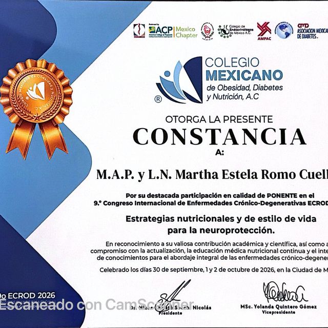 Ampliar imagen: certificate 28
