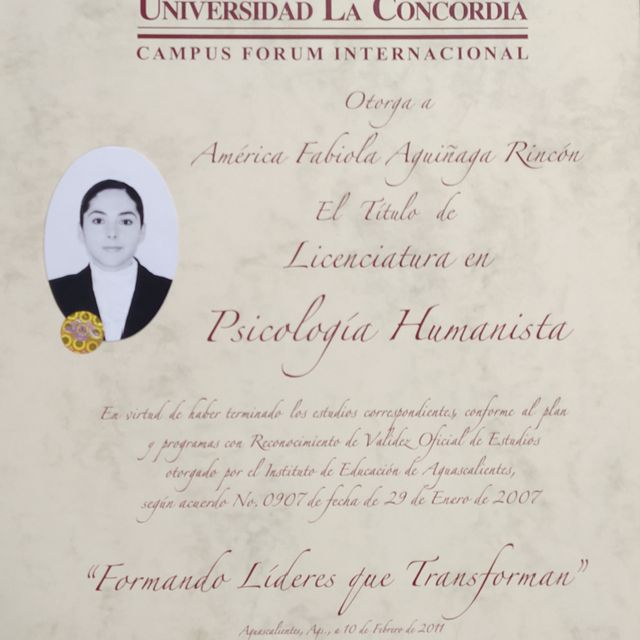 Ampliar imagen: certificate 7