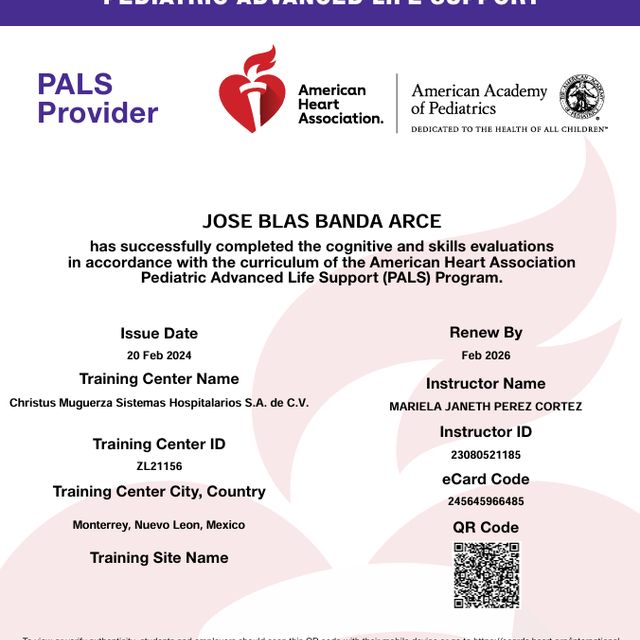 Ampliar imagen: certificate 2