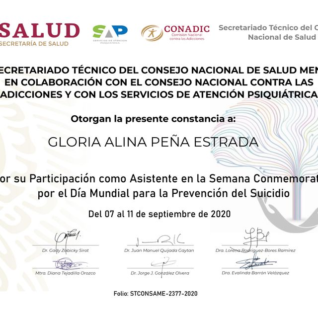 Ampliar imagen: certificate 3