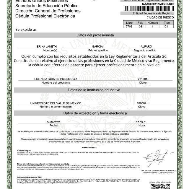 Ampliar imagen: certificate 2