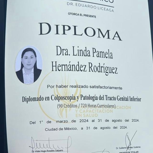 Ampliar imagen: certificate 3