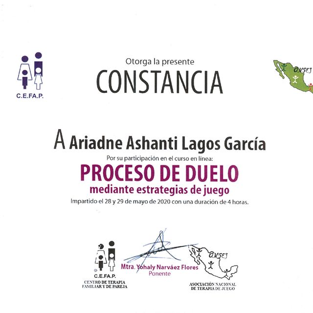 Ampliar imagen: certificate 15