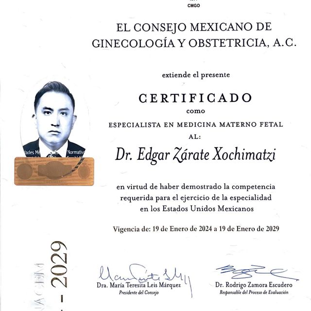 Ampliar imagen: certificate 2