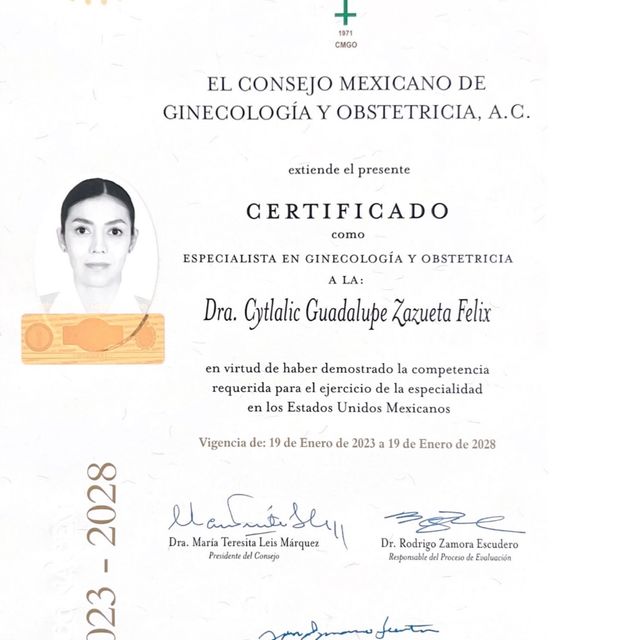 Ampliar imagen: certificate 1