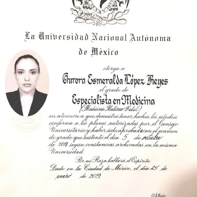 Ampliar imagen: certificate 1