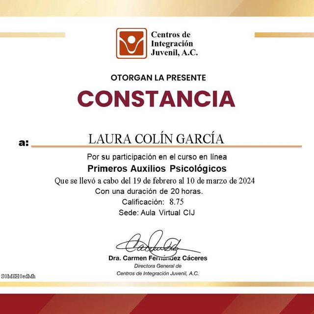 Ampliar imagen: certificate 4