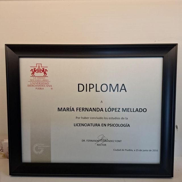 Ampliar imagen: certificate 3