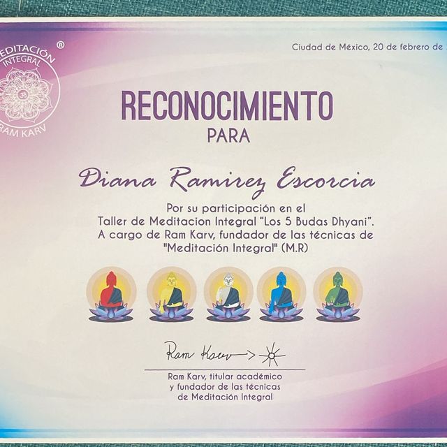 Ampliar imagen: certificate 3