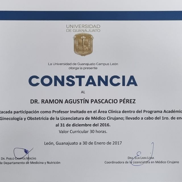 Ampliar imagen: certificate 24