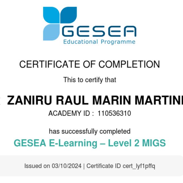 Ampliar imagen: certificate 7