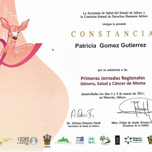 Ampliar imagen: certificate 8
