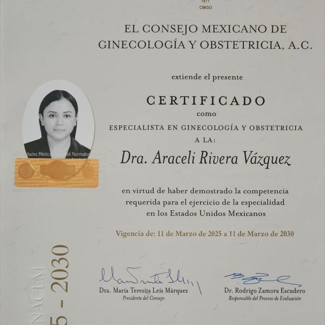 Ampliar imagen: certificate 2