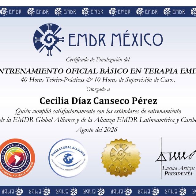 Ampliar imagen: certificate 7