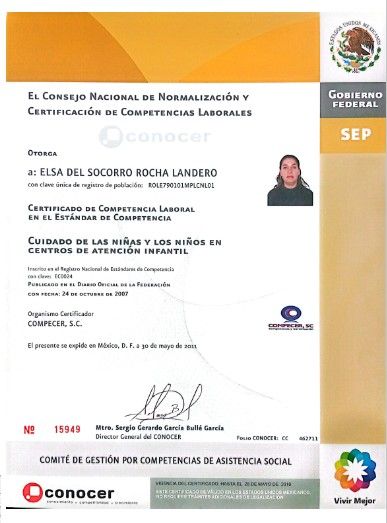 Ampliar imagen: certificate 5