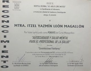 Ampliar imagen: certificate 7