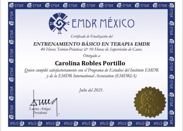 Ampliar imagen: certificate 2