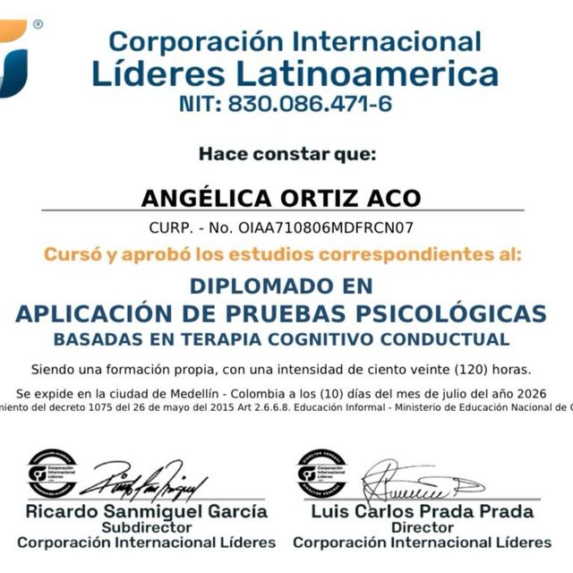 Ampliar imagen: certificate 19