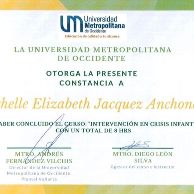 Ampliar imagen: certificate 26