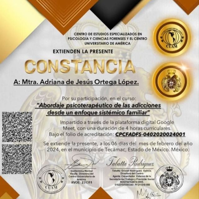 Ampliar imagen: certificate 6