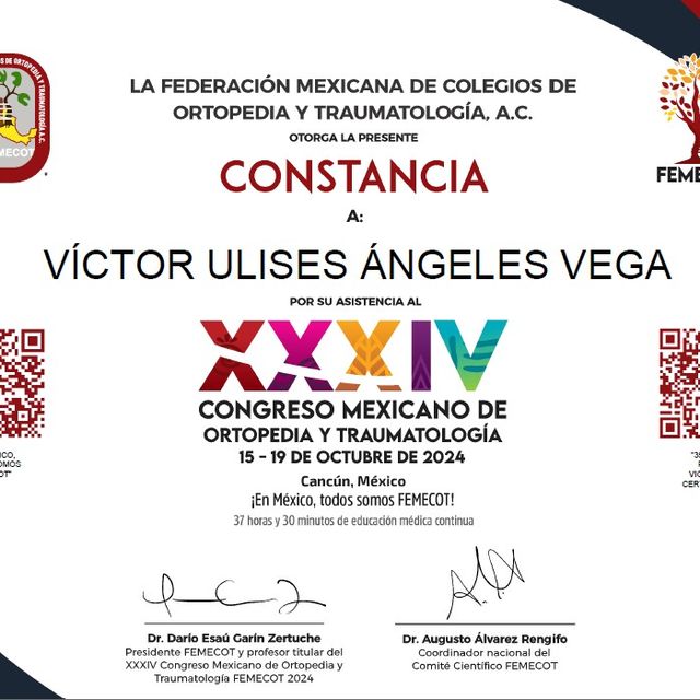 Ampliar imagen: certificate 7