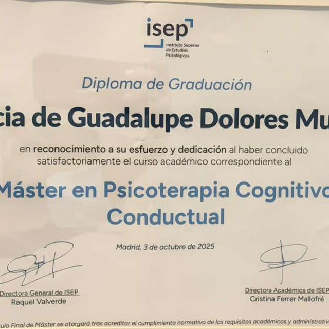 Ampliar imagen: certificate 2