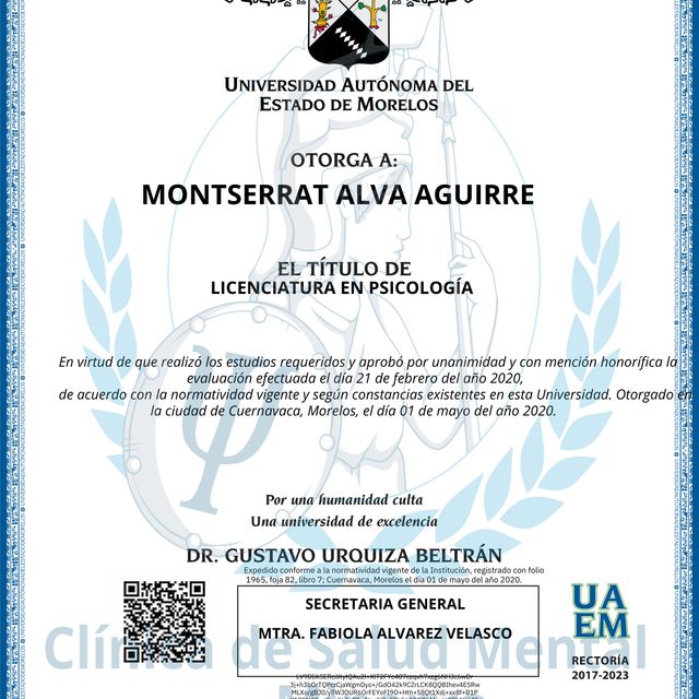 Ampliar imagen: certificate 2